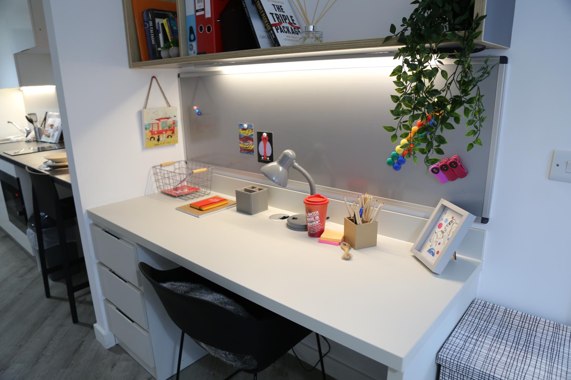  Club Studio  -  The Fitzalan  - Gallery -  5