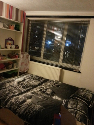 Cool single bedroom in well-connected Stepney - Gallery - 27