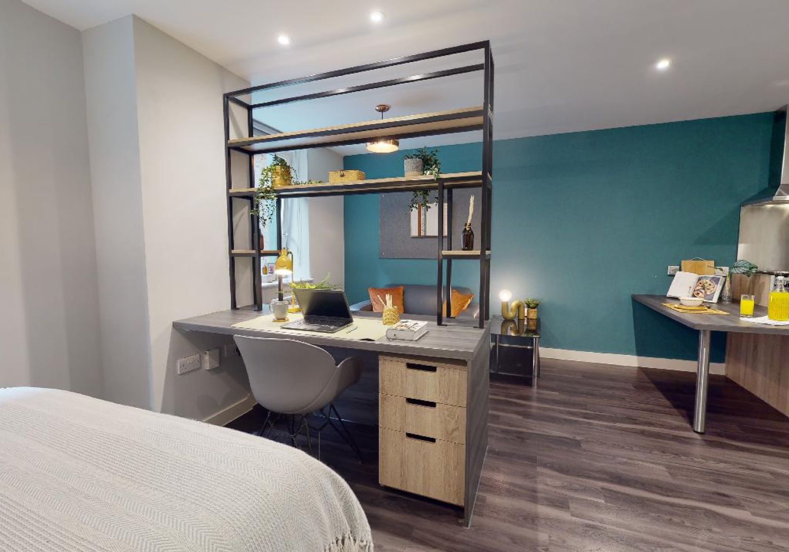  Platinum Studio Plus  -  iQ Hammersmith  - Gallery -  3