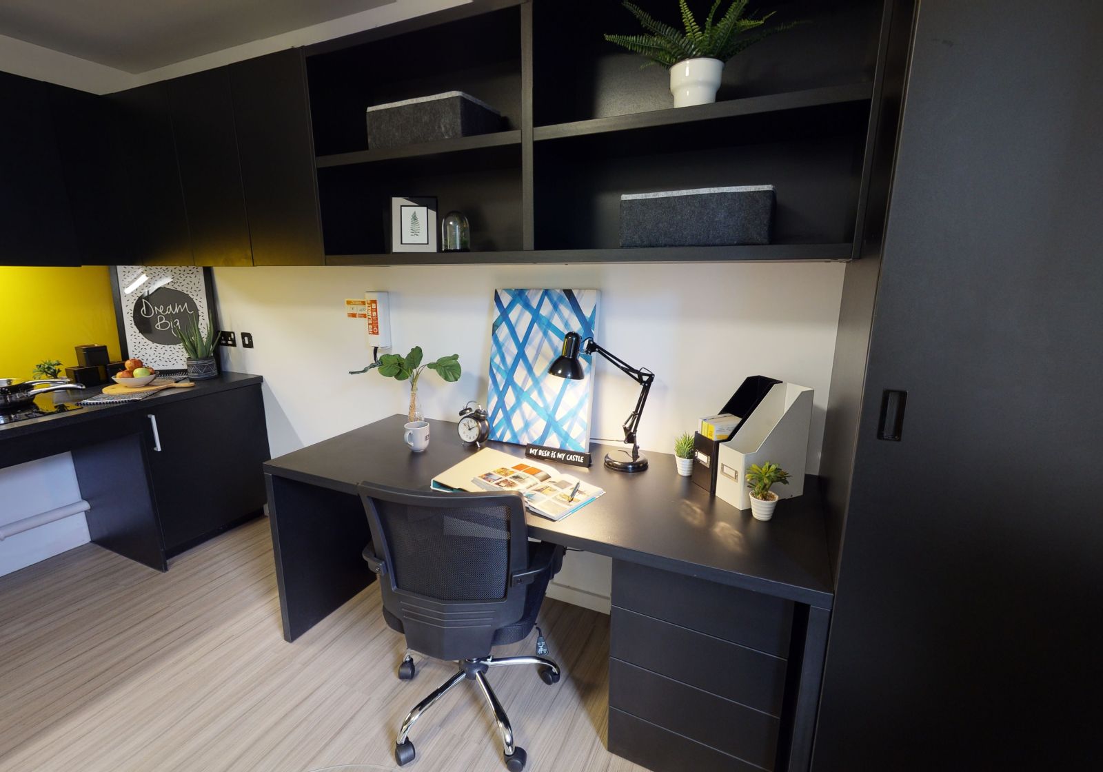  Gold Studio Plus Large  -  iQ Hammersmith  - Gallery -  5