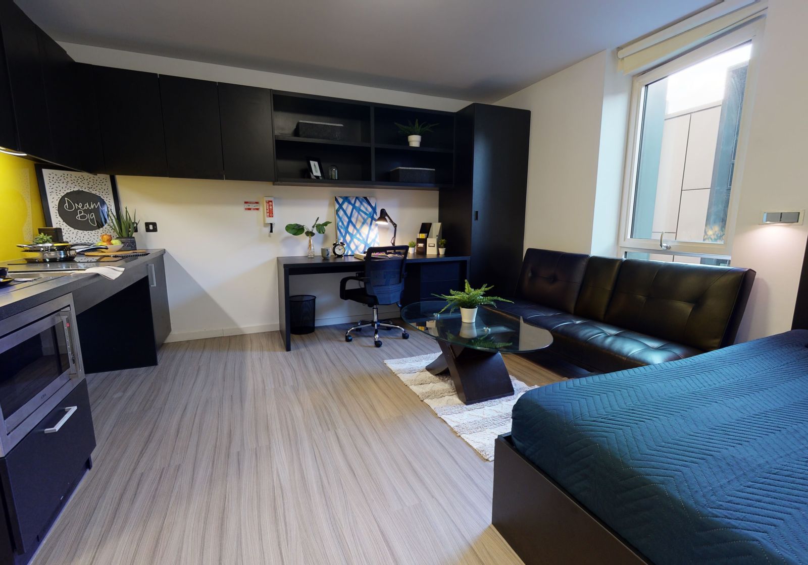  Gold Studio Plus Large  -  iQ Hammersmith  - Gallery -  1