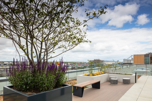 Point Campus  - Gallery -  4