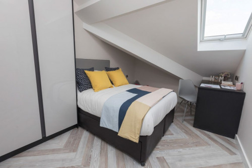 Great Western Street - Gallery - 12