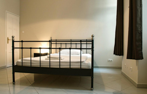 Spacious 2-bedroom and living room apartment near Blaha Lujza tér metro station