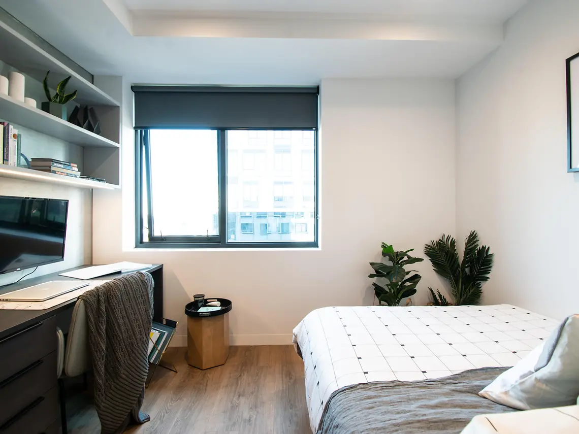  Premium Studio  -  University Square  - Gallery -  2