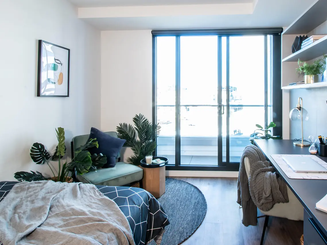  Premium Studio With Terrace  -  University Square  - Gallery -  2