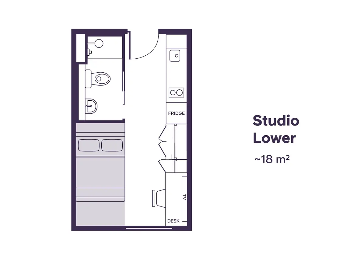  Studio Lower  -  University Square  - Gallery -  5