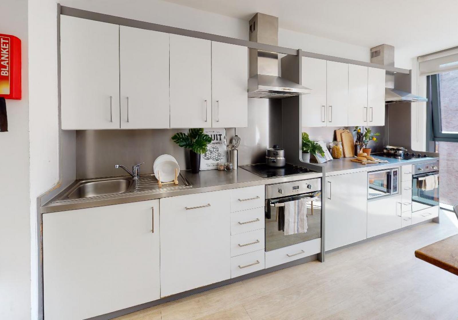  Silver En-Suite Plus  -  iQ Haywood House  - Gallery -  5