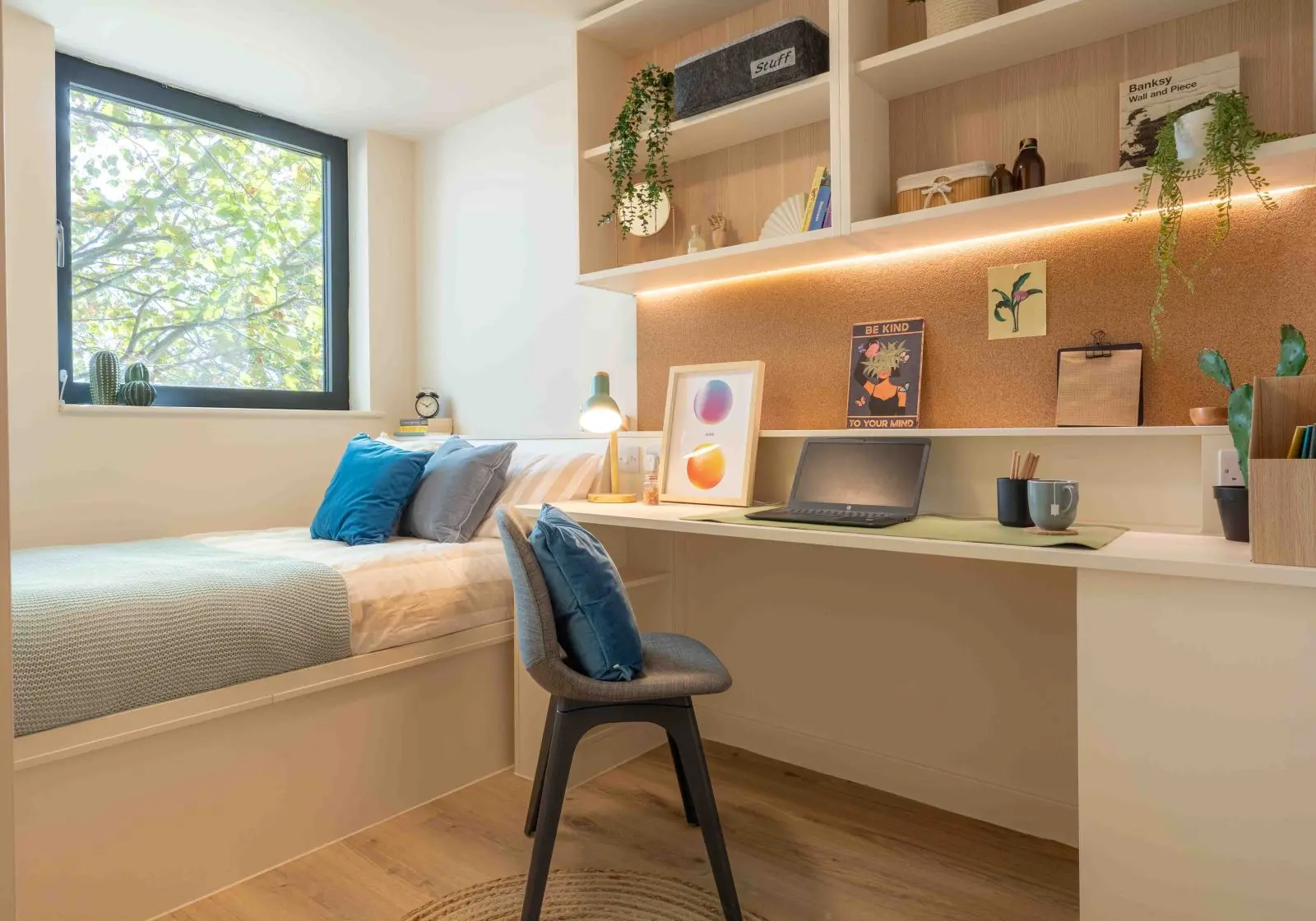  Platinum En-Suite Plus  -  iQ Haywood House  - Gallery -  5