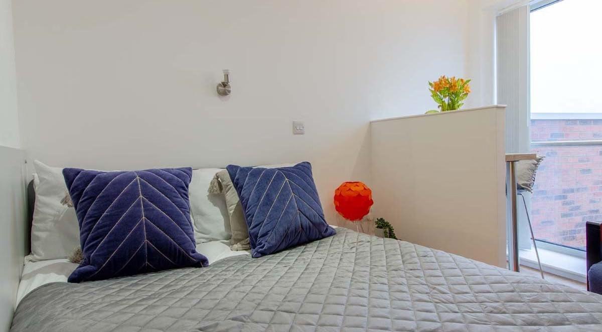  Premium Studio  -  Orbital  - Gallery -  8