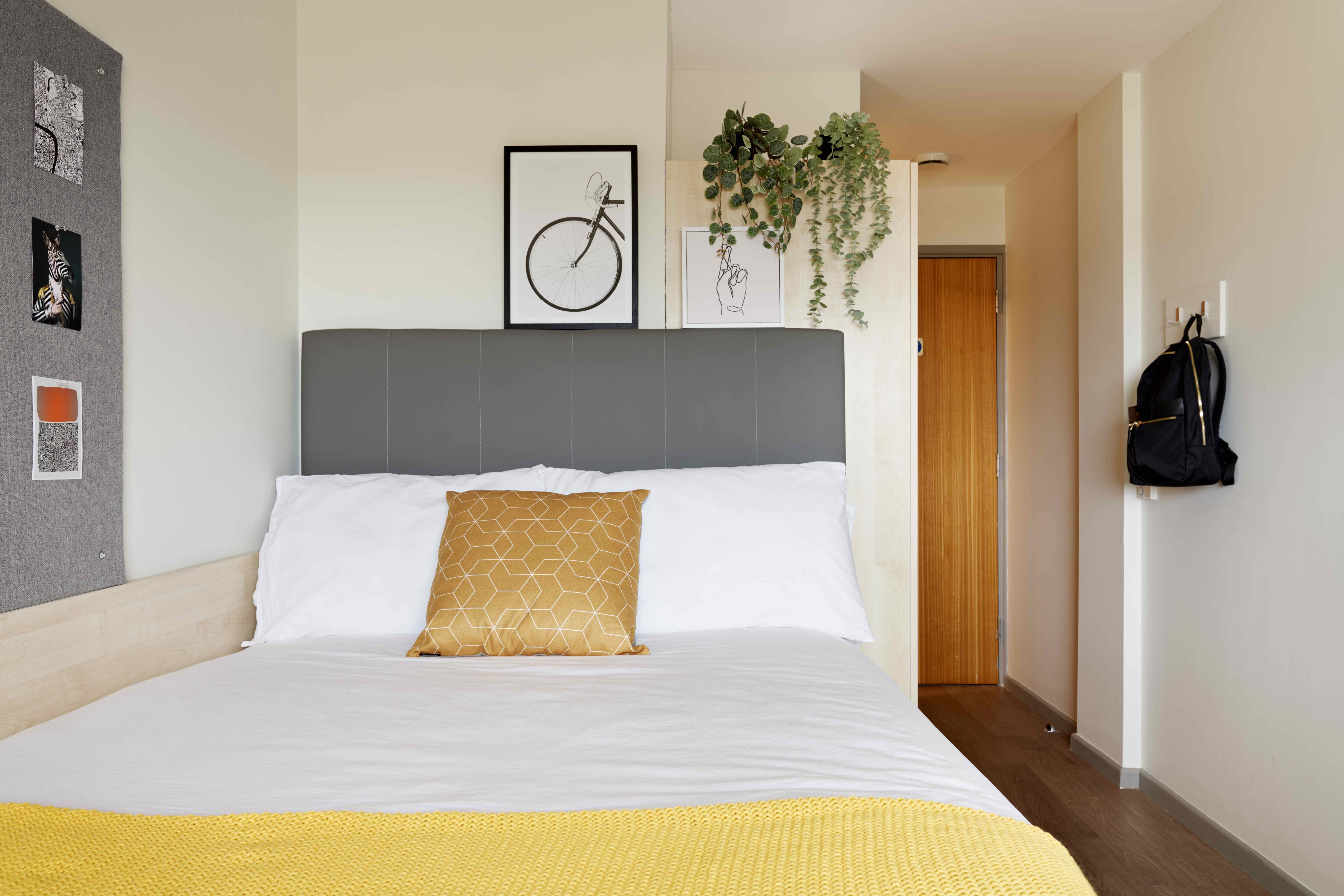 Standard En-Suite (Limited) - Discovery Heights - Gallery - 2