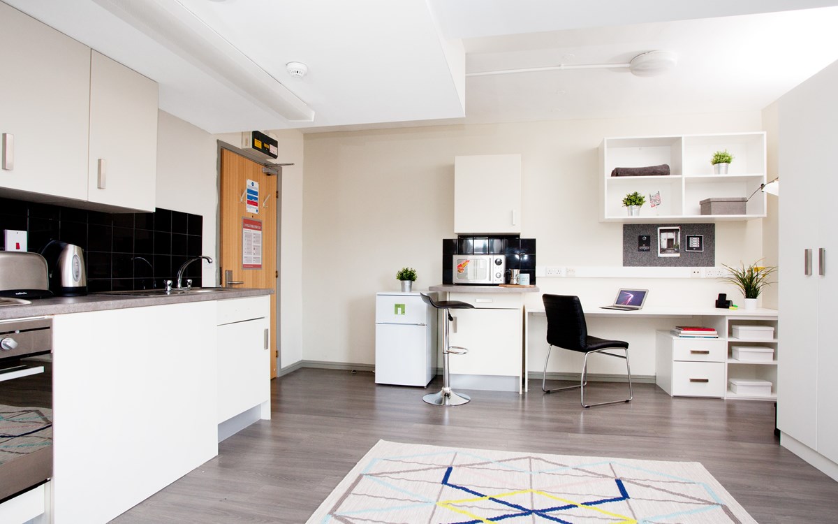  Premium Studio  -  Central Point  - Gallery -  3