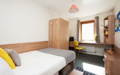Sunlight Apartments  - Gallery -  4