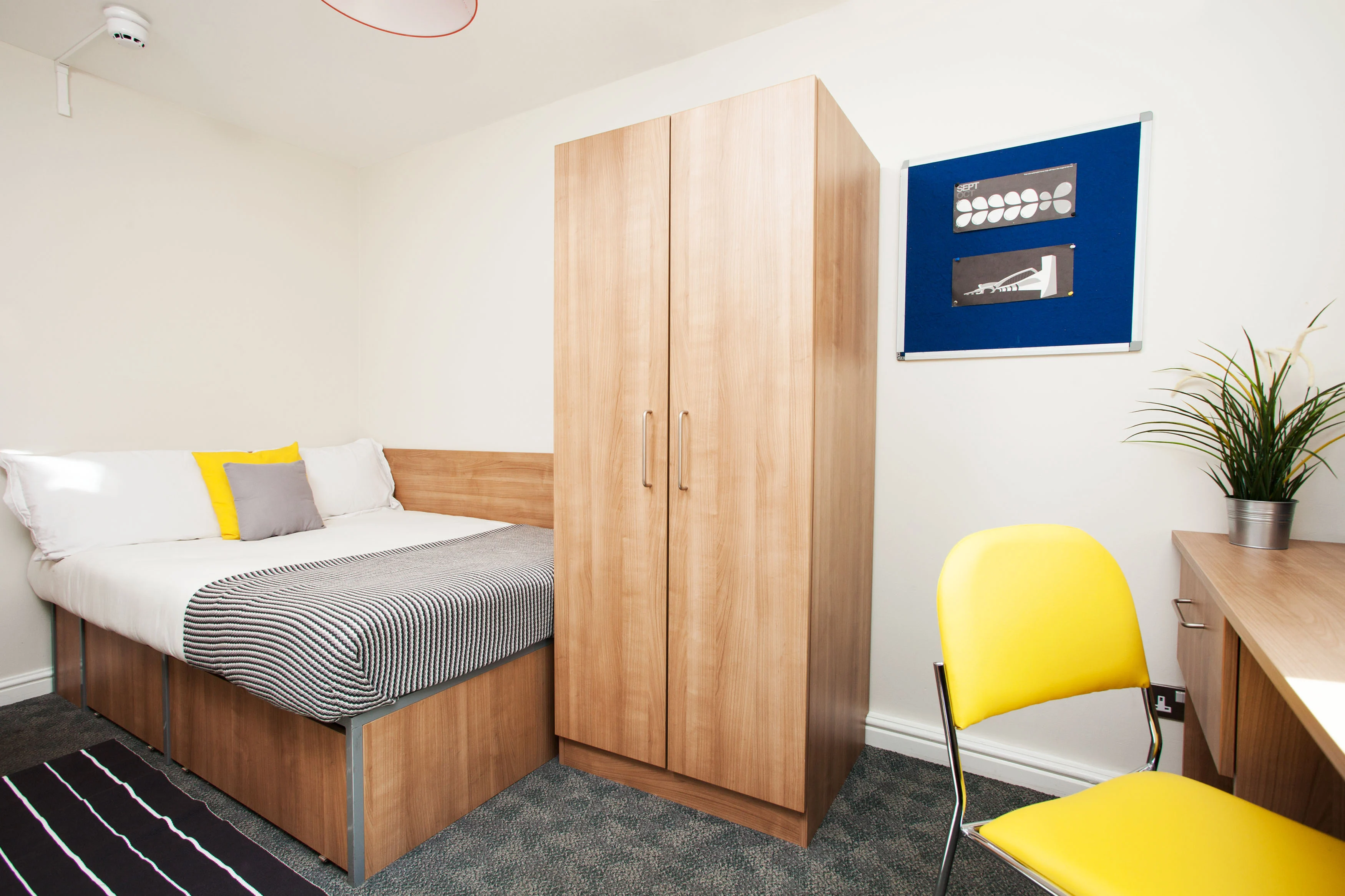 Bronze Non-Ensuite - Sunlight Apartments - Gallery - 3