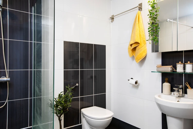  Large High Double Studio  -  Hayloft Point  - Gallery -  4