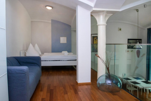 Luminous 1 -bedroom apartment in Prague