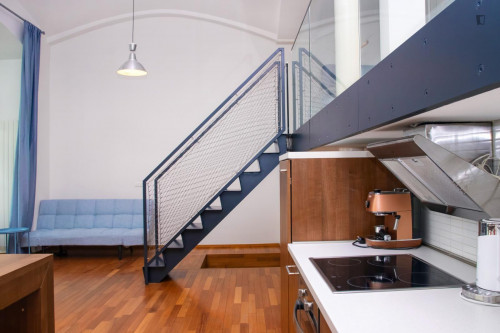 Luminous 1 -bedroom apartment in Prague