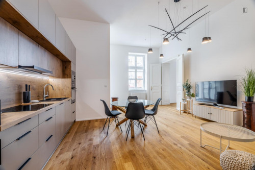 Luxurious 1-bedroom apartment  - Gallery -  5