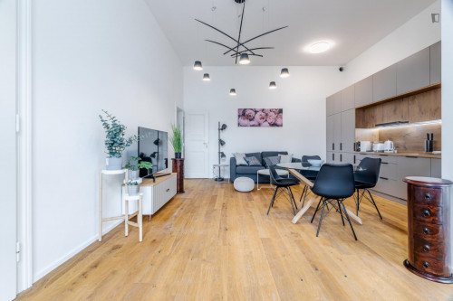 Luxurious 1-bedroom apartment