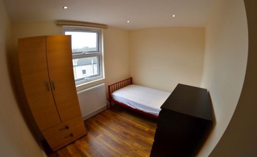 55 Morley Road - Gallery - 21