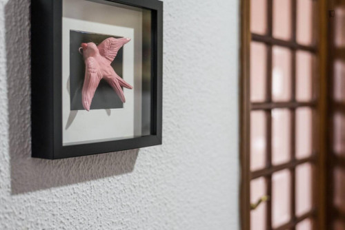 Large and bright 4-bedroom apartment in Bonfim