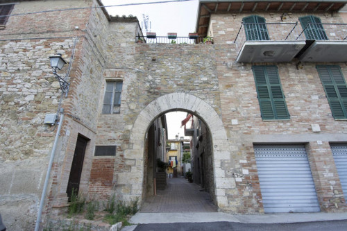 Homely 1-bedroom apartment in Bagnaia - Gallery - 9