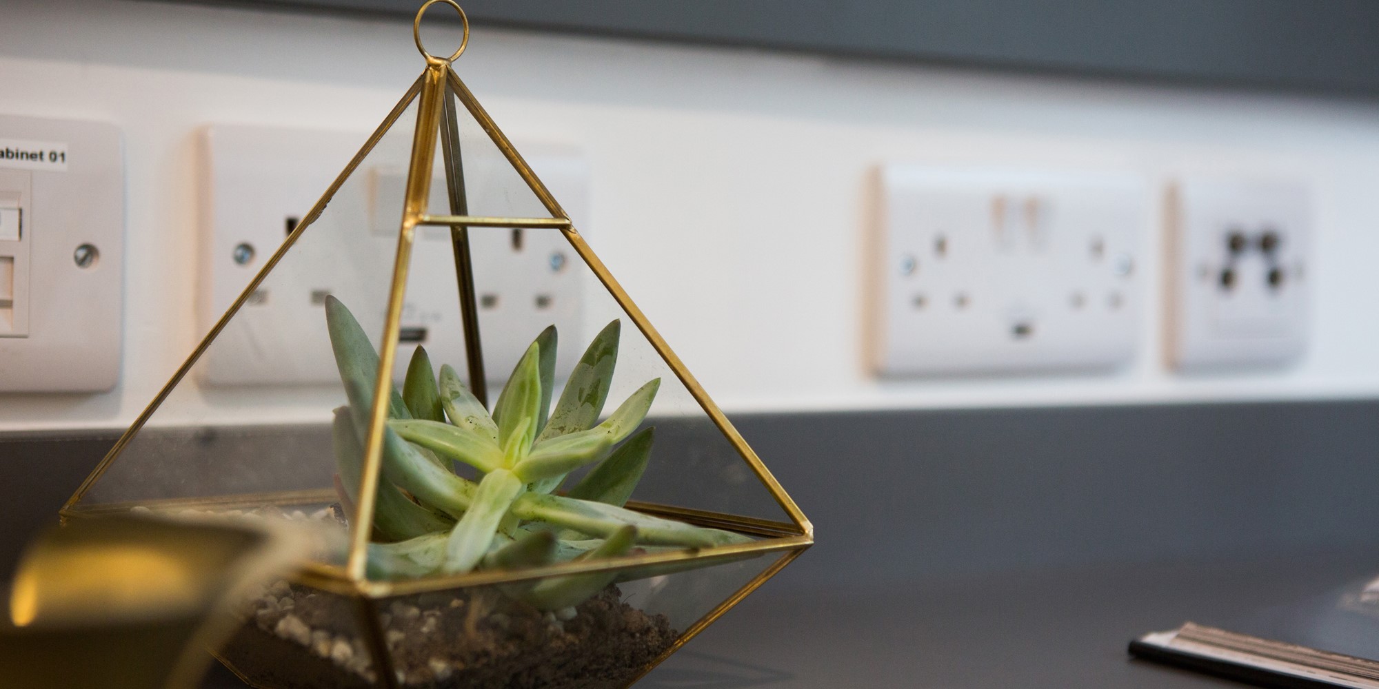 Gold Studio - Chapter Highbury II - Gallery - 4
