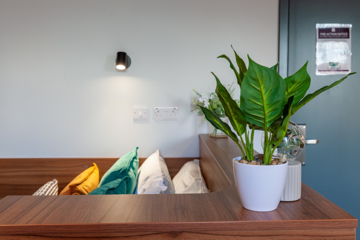  Premium Studio  -  Straits Garden  - Gallery -  11