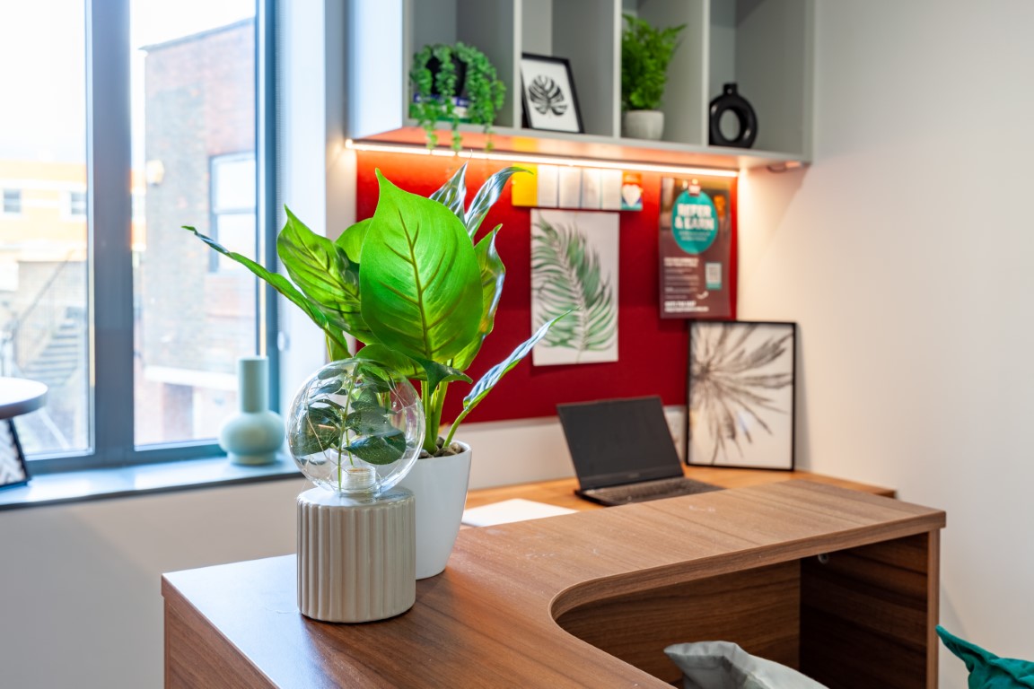  Premium Studio  -  Straits Garden  - Gallery -  14