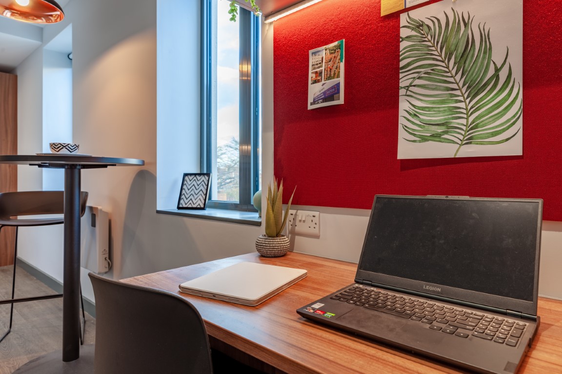  Premium Studio  -  Straits Garden  - Gallery -  2