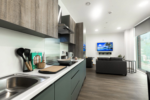 Albany Student Village - Gallery - 341