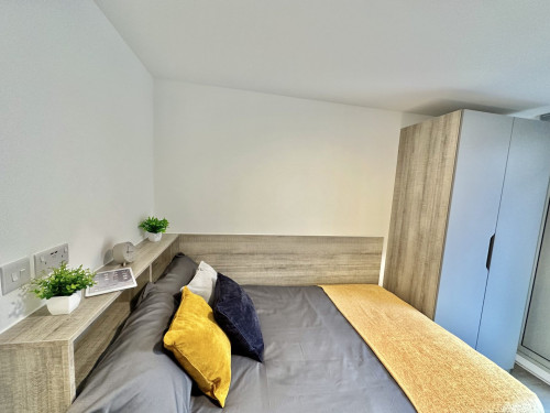 Albany Student Village - Gallery - 656