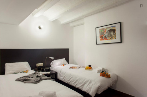 Attractive 2-bedroom apartment in El Raval