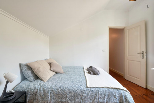 Appealing double bedroom in a student flat, in the Avenida da Liberdade area