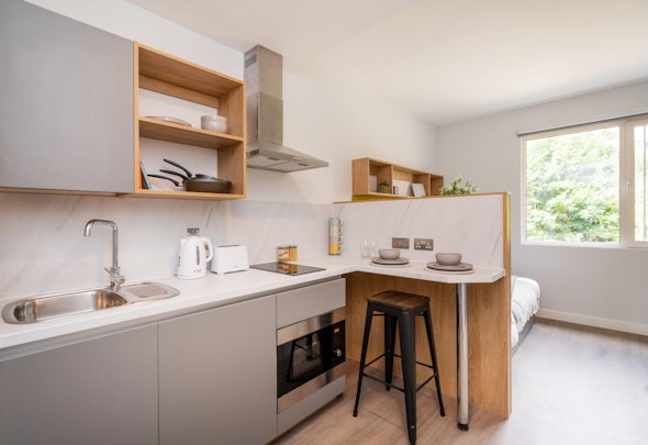  Studio Bronze  -  Hillfort House  - Gallery -  7