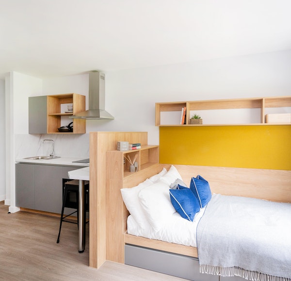  Studio Gold  -  Hillfort House  - Gallery -  1