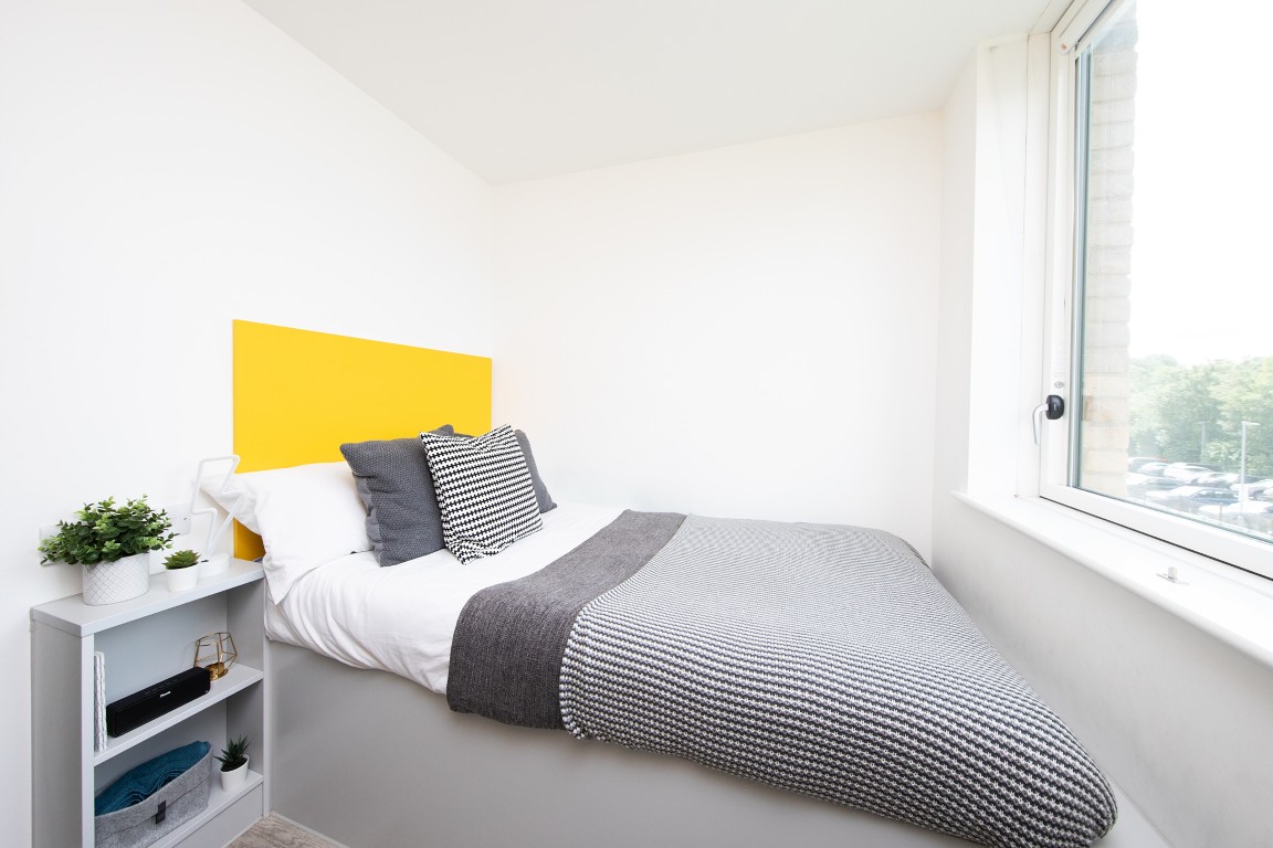  Bronze Ensuite  -  Collegiate Cathedral Point  - Gallery -  1