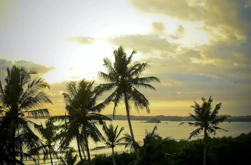 Weligama Bay Residence - Gallery - 87
