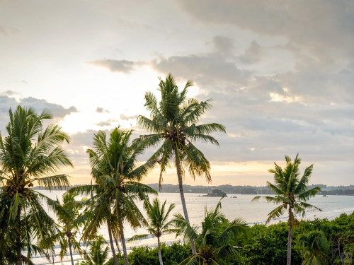 Weligama Bay Residence - Gallery - 24