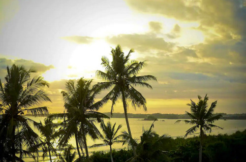 Weligama Bay Residence - Gallery - 22