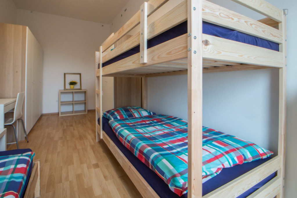 Single bed in bunk bed in neat triple bedroom in Neukölln