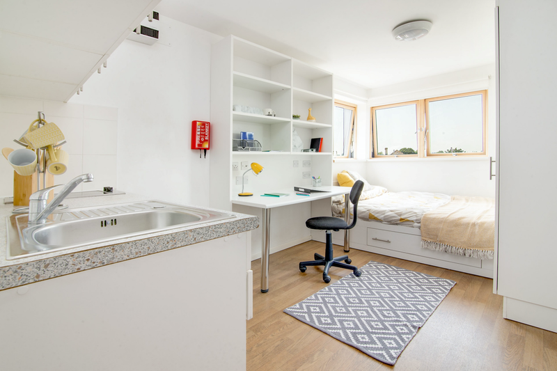 Herne Hill Academic House - Gallery - 24