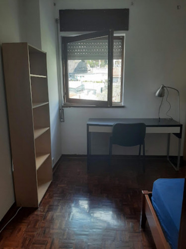 Comfy single bedroom in a student flat, in Solum