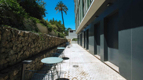 Hubr Xior Sevilla