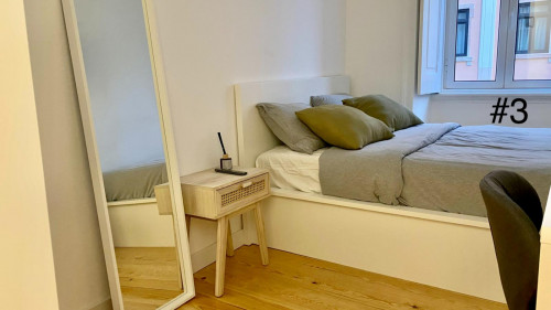 Cozy double bedroom, renovated apartment in Arroios