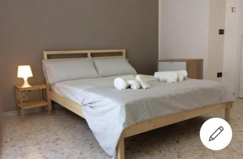Large and bright bedroom in a 3-bedroom flat near Quintino Sella train station