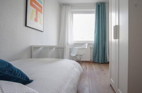 Great single bedroom in nice area - Gallery - 2