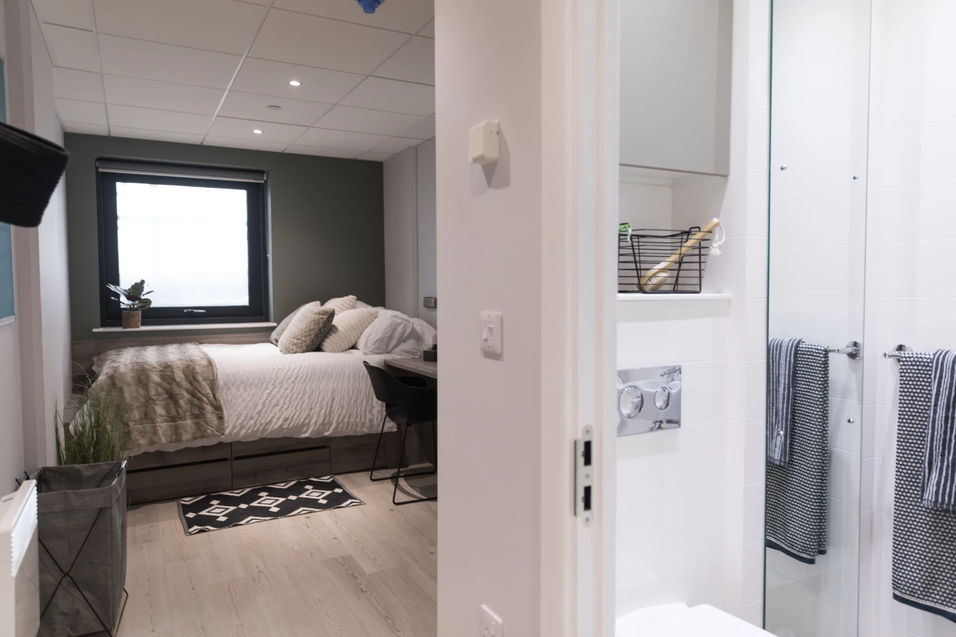  Superior Studio  -  Crown Place  - Gallery -  4