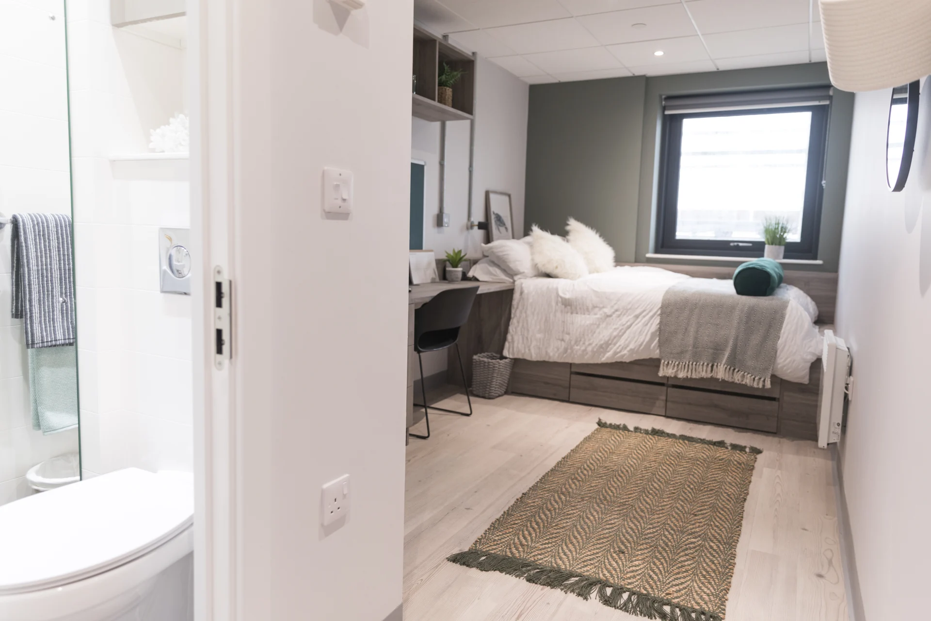  Luxury Studio Plus  -  Crown Place  - Gallery -  4