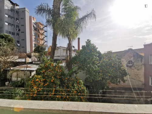 Welcoming 2-bedroom apartment in Graça - Gallery - 24
